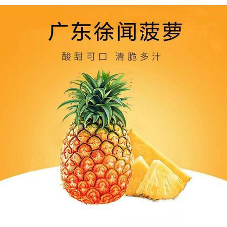 徐聞鳳梨 嶺南佳果，香甜禮贈——探秘廣東特產新鮮大菠蘿